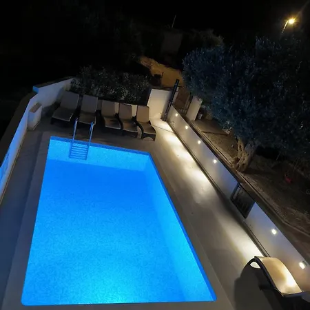 Dalmatian Child With Swimming Pool, Close To The