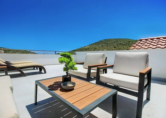 Dalmatian Child With Swimming Pool, Close To The