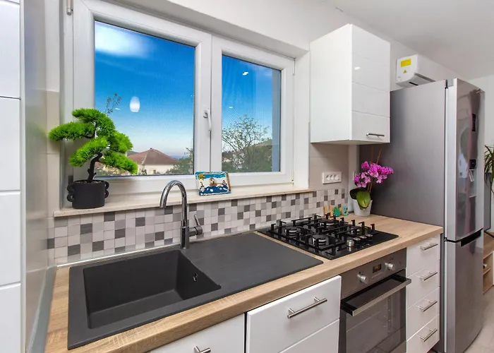 Dalmatian Child With Swimming Pool, Close To The