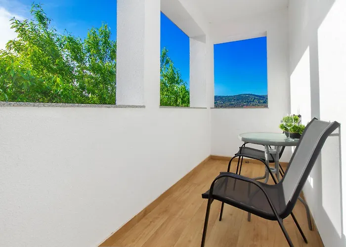 Dalmatian Child With Swimming Pool, Close To The 3*