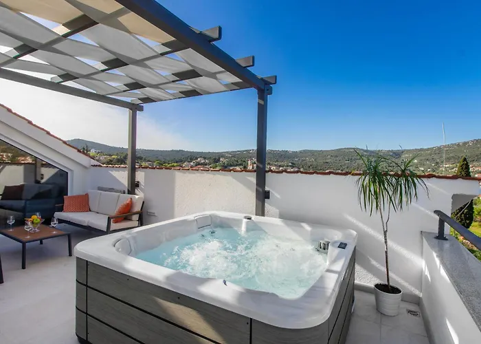 Dalmatian Child With Swimming Pool, Close To The